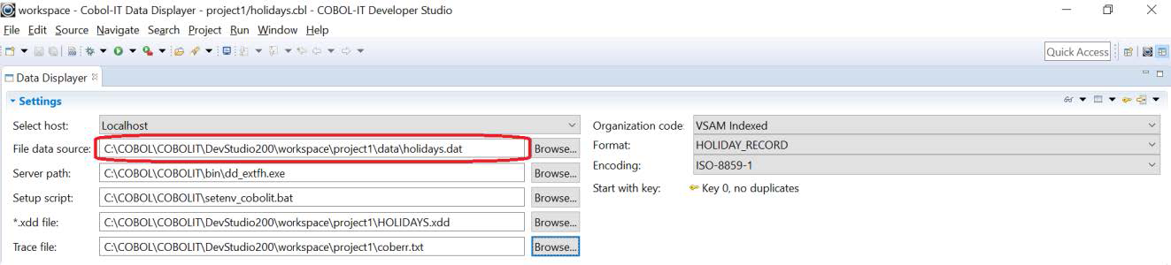 File Data Source