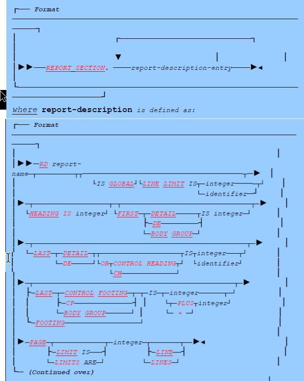 report section format