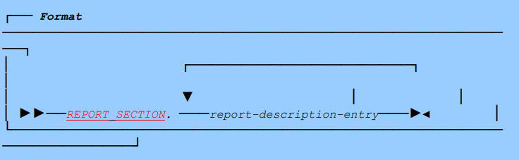 report section