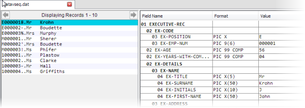 A formatted data file showing a record layout