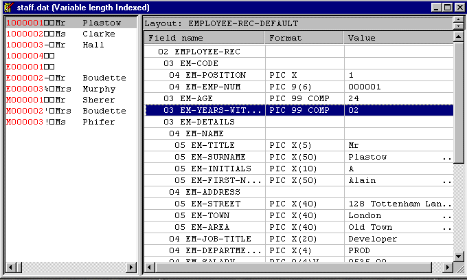 Data File Editor Window