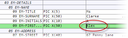 The editable field in a formatted record