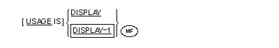 Syntax for the General format of the USAGE clause