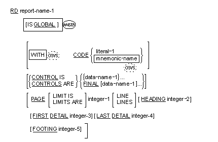 Syntax for General Format for the REport Description entry