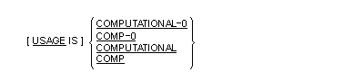 Syntax for General Format for the USAGE clause